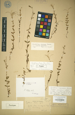 LE 01025876