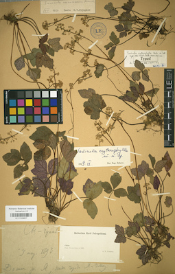 LE 01029607