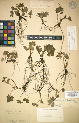 LE 01029617