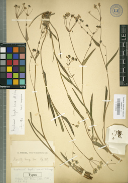 LE 01029625