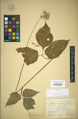 LE 01029639