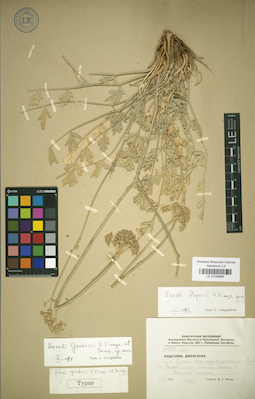 LE 01029664