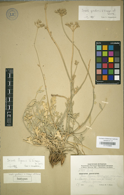LE 01029665