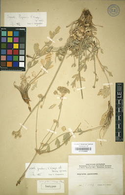 LE 01029666