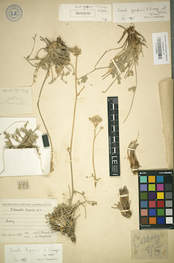 LE 01029667