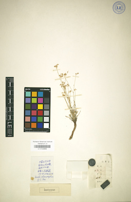 LE 01029669