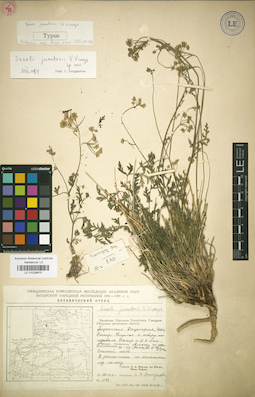 LE 01029670