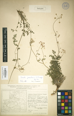 LE 01029671