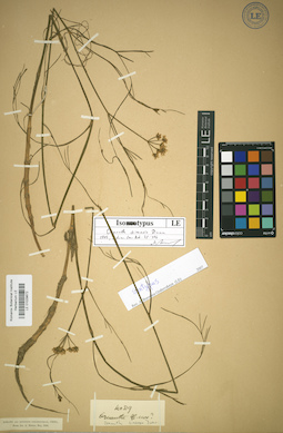 LE 01029672