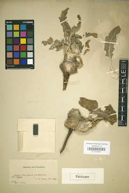 LE 01029691
