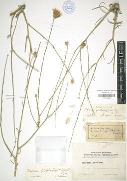 LE 01029693