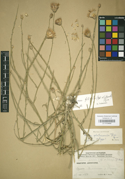 LE 01029695