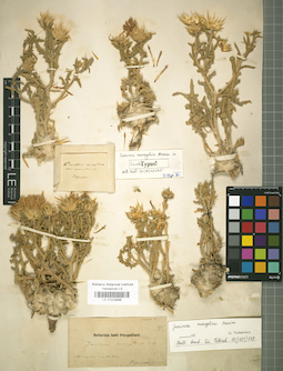 LE 01029696