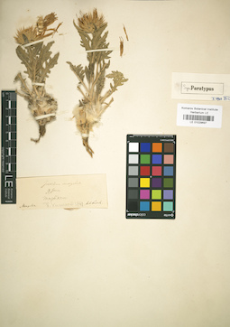 LE 01029697