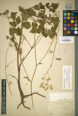 LE 01029702
