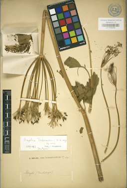 LE 01029764