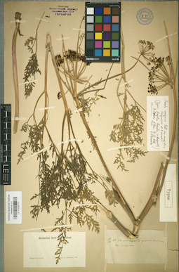 LE 01029770