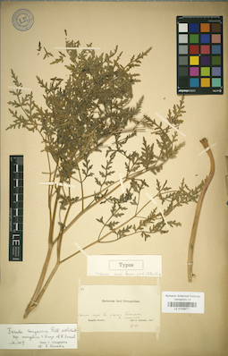 LE 01029771