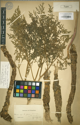 LE 01029772