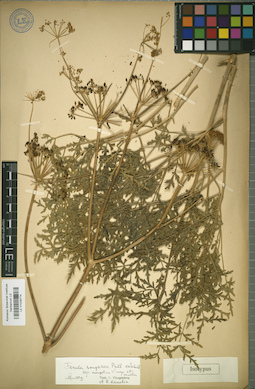 LE 01029774