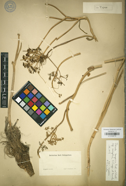 LE 01029775
