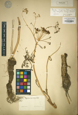 LE 01029776