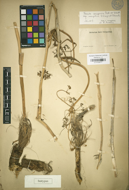 LE 01029777