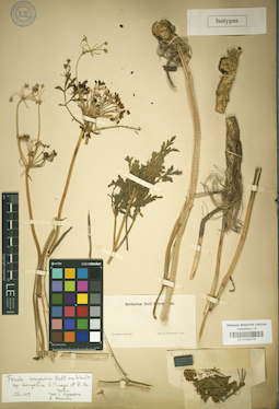 LE 01029778