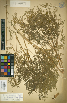 LE 01029779