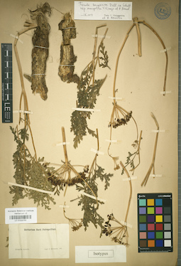 LE 01029780