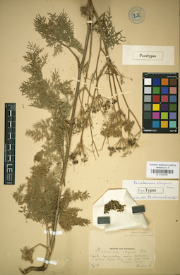 LE 01029781