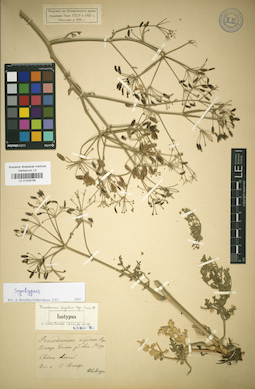 LE 01029785