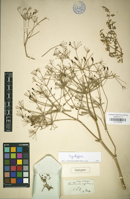 LE 01029786