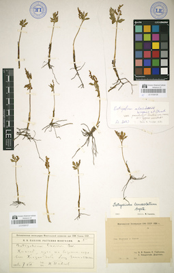LE 01030127