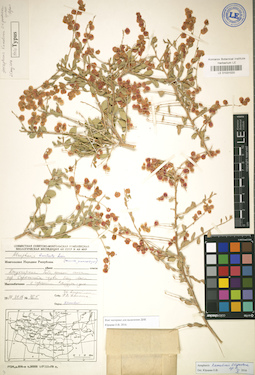 LE 01031020
