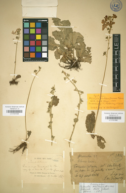 LE 01031028