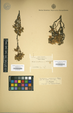 LE 01031043