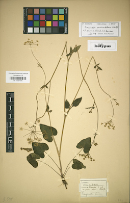 LE 01031045