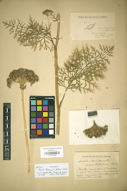 LE 01031048