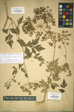 LE 01031053