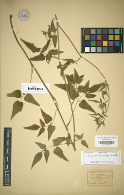 LE 01031057
