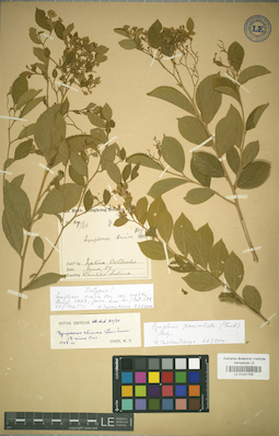 LE 01031103