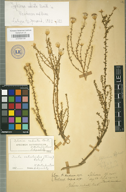 LE 01031120
