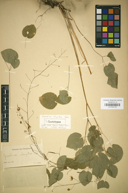 LE 01031123