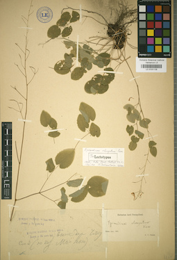 LE 01031128