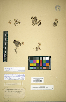 LE 01031134