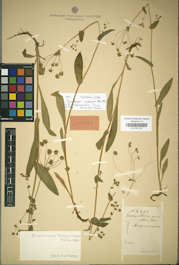 LE 01031140