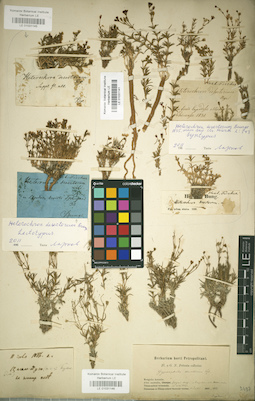 LE 01031141