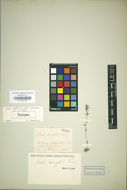 LE 01031151