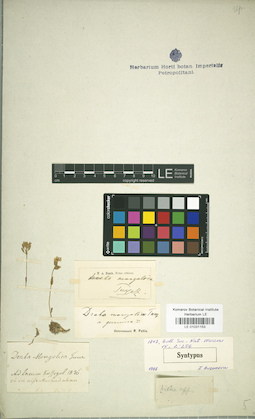 LE 01031153